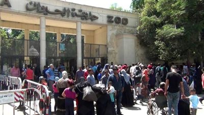 حفلات غنائية الأهم.. أبرز مشاهد اليوم الثاني لعيد الأضحى