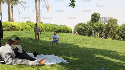 شاهد.. احتفال المواطنين بعيد الأضحى في حديقة الأزهر بارك 