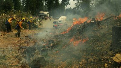 اندلاع حريق هائل في غابة قرب برلين