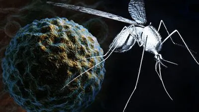 52 حالة وفاة فى أوروبا بسبب فيروس غرب النيل