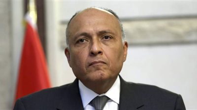 خبير في الشأن الأفريقي: زيارة وزير الخارجية إلى أثيوبيا تأتي في وقت حساس