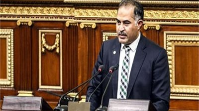 وكيل البرلمان: نجاح السعودية في تنظيم الحج صفعة للدول المطالبة بتدويل الحرمين