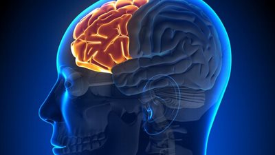 اكتشاف خلية 