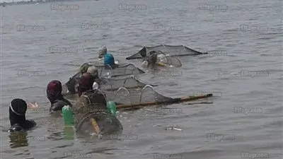 حملة مكبرة لازالة تعديات ببحيرة المنزلة ومطالب بمنع الصيد الجائر