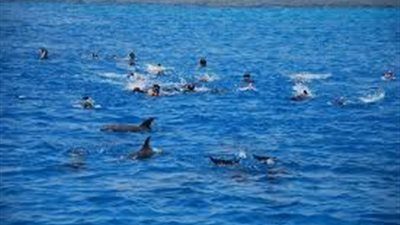 قطعة من الجنة على أرض مصرية.. أجمل الأماكن بمرسى علم