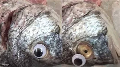 العدسات اللاصقة.. حيلة جديدة لبيع الأسماك الفاسدة بالكويت