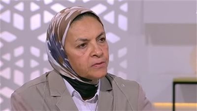 أستاذة اقتصاد: ما تنفذه القيادة السياسية في جذب الفرص الاستثمارية 'رائع'