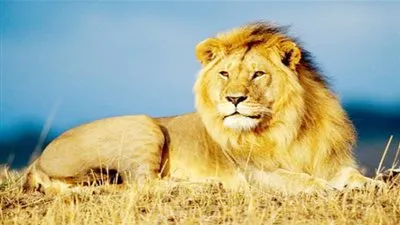 عاجل.. أخبار السعودية اليوم | 