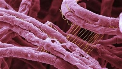 المعارضة التركية تطالب بتحقيقات بسبب