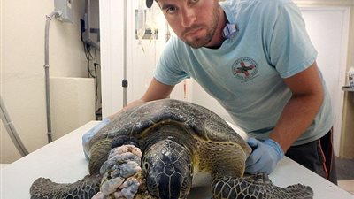 حاول الإمساك بـ