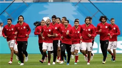 مدرب النيجر: نسعي بالخروج بأكبر استفادة من مباراة مصر