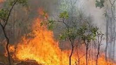 عاجل.. حريق هائل داخل مجمع مواقف ملوي بـ