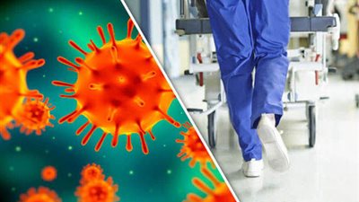 الصين تتخذ إجراءات عاجلة لمواجهة تفشى انفلونزا الخنازير