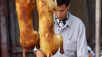 فيتنام تطالب سكانها بالتوقف عن أكل لحوم الكلاب