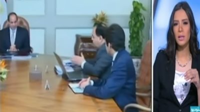 هشام إبراهيم: وضع مصر الاقتصادي يتجه نحو التحسن