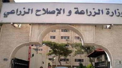 عاجل.. بيان من الحكومة بشأن انتشار فيروس الجلد العقدي بين مواشي سوهاج