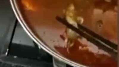 فأر ميت يكلف مطعما 190 مليون دولار (تفاصيل)