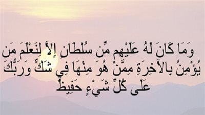 إن ربي على كل شيء حفيظ