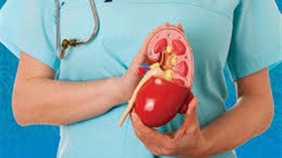 10 أطعمة تحسن وظائف الكلى