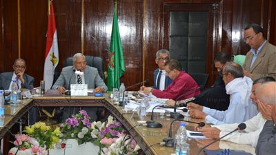 محافظ الدقهلية عن التوك توك: المخالف سيتم مصادرته