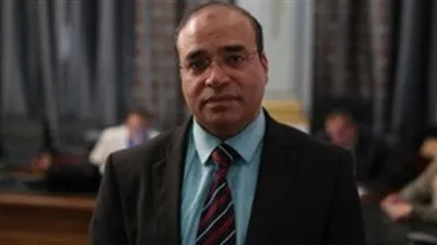 عضو صحة البرلمان: الوزيرة أعلنت مسئوليتها عن حادث ديرب نجم (فيديو)