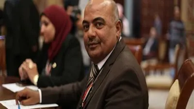 برلماني: الفشل الكلوي يصيب مليون مواطن.. وكلام وزيرة الصحة غير صحيح