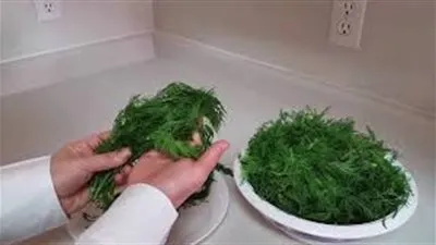 طريقة تحضير محشي الشبت 