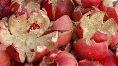 ما لا تعرفه عن فوائد قشر الرمان 