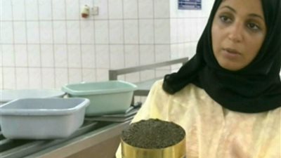 من هي دينا الفارس؟