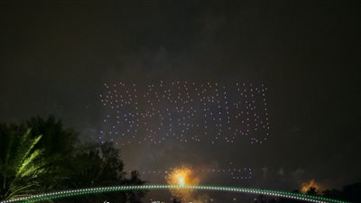 عاجل.. السعودية تدخل موسوعة جينيس بهذا الإنجاز