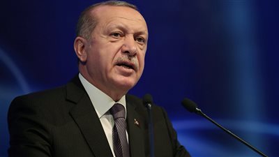 خبير تركي: أردوغان يبحث عن دعم دولي لمواجهة الأكراد بعد 