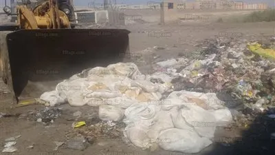 إعدام طن ونصف ملبن فاسد في المنزلة (صور)