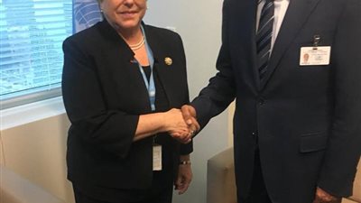 أبو الغيط و