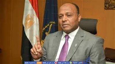 ضبط عاطل بحوزته طبنجة وسلاح أبيض بهدف البلطجة في الغربية 