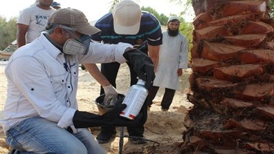 سبق - السعودية | 