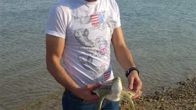 انقاذ سلحفاة نادرة بالسويس بفضل وعي المواطنين 