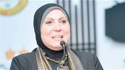 نيفين جامع: ضخ 3.6 مليارات جنيه وفرت 160 ألف مشروع 