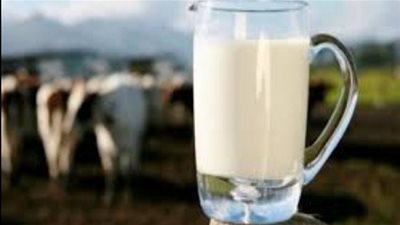 منظمة الأعراف: نرفض توريد الحليب و قطاعات أخرى أولى بالعملة الصعبة‎