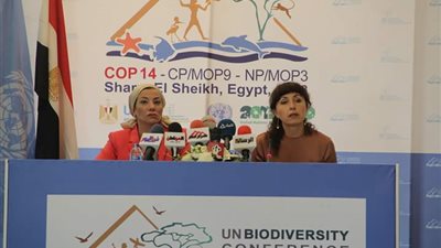 السكرتيرة التنفيذية لاتفاقية الأطراف: مؤتمر التنوع البيولوجي مهم للقيادة المصرية والعالم