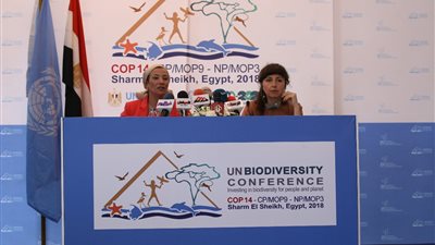 كريستيانا بالمر: مصر لديها تاريخ عظيم ورأس مال طبيعي لجذب المزيد من السياح