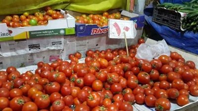 الطماطم تسجل 10 جنيهات اليوم الثلاثاء في أسواق الإسماعيلية