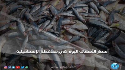 أسعار الأسماك اليوم الخميس 4 ـ 10 ـ 2018 بمحافظة الإسماعيلية