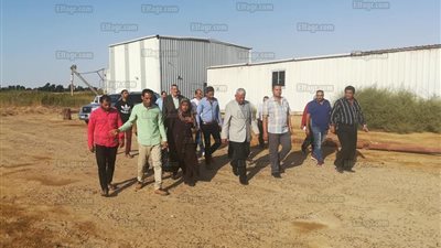 خطة سريعة لتطوير محطة تسمين الدواجن بالسويس (صور)