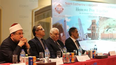 ضياء رشوان: الحرب في سيناء الآن ليست دينية وإنما للدفاع عن سيادة مصر