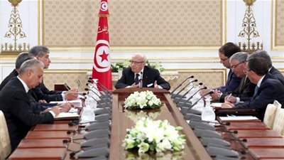 مجلس الأمن القومي يتدارس قضيتي الهجرة غير النظامية وهجرة الكفاءات التونسية