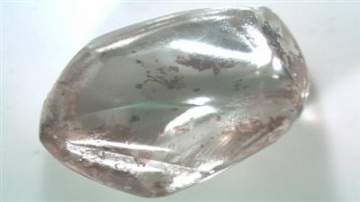 مسنة أمریكیة تعثر على 