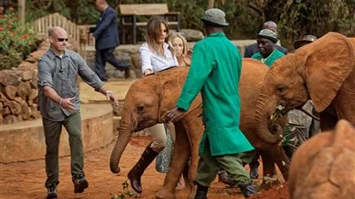 فيل يهاجم ميلانيا ترامب (بالفيديو)