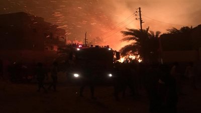 عاجل.. تفاصيل حريق جديد في 100 نخلة بالمعصرة بالوادي الجديد