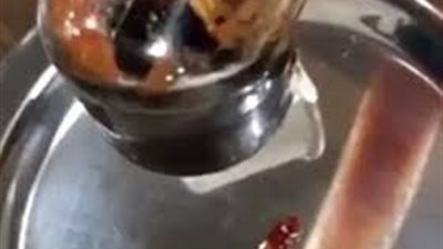 رد فعل زبونة تعثر على ديدان داخل 