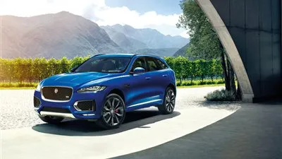 لهذا السبب.. 